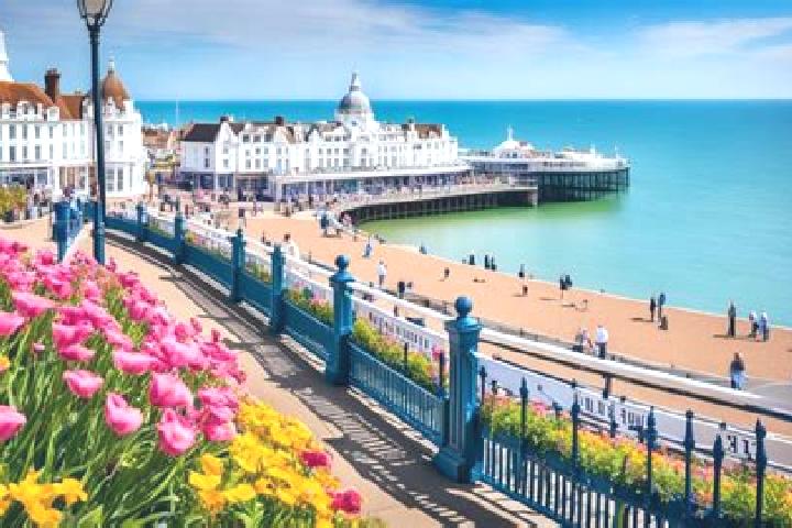 Addison, 35 — Escort in Eastbourne, United Kingdom