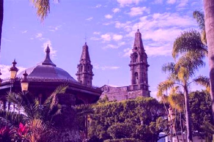 Addison, 35 — Escort in Francisco J. Mujica, Mexico