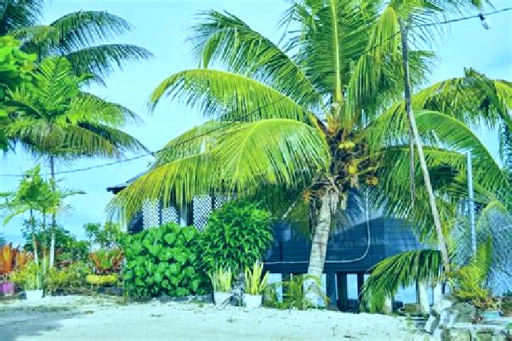 Addison, 35 — Escort in Matautu, Samoa