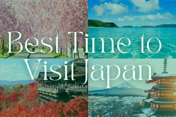 Addison, 35 — Escort in Rikuzentakata, Japan