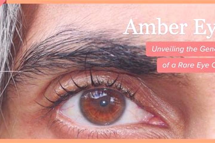 Addison, 36, a black amber-eyed ebony companion based in Struda. Offering Tantra, Roleplay, GFE, Striptease. Available for incall and outcall, day and evenin...