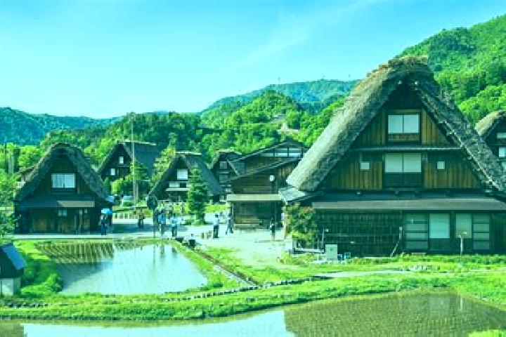 Addison, 36 — Escort in Akaike, Japan