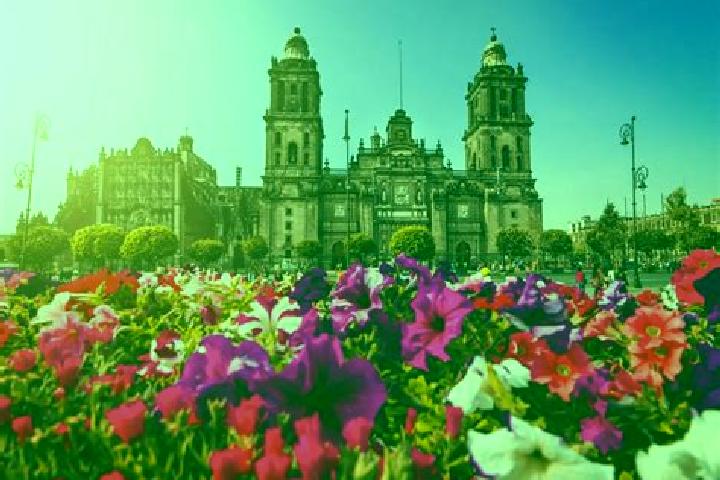 Addison, 36 — Escort in Ciudad Hidalgo, Mexico