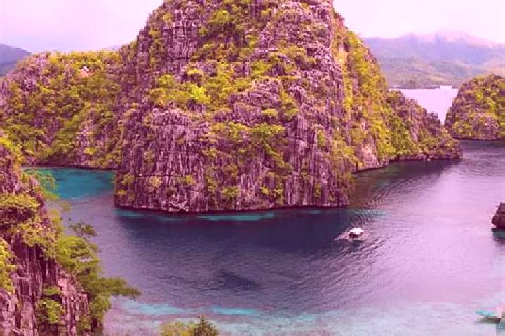 Addison, 36 — Escort in Corocotan, Philippines