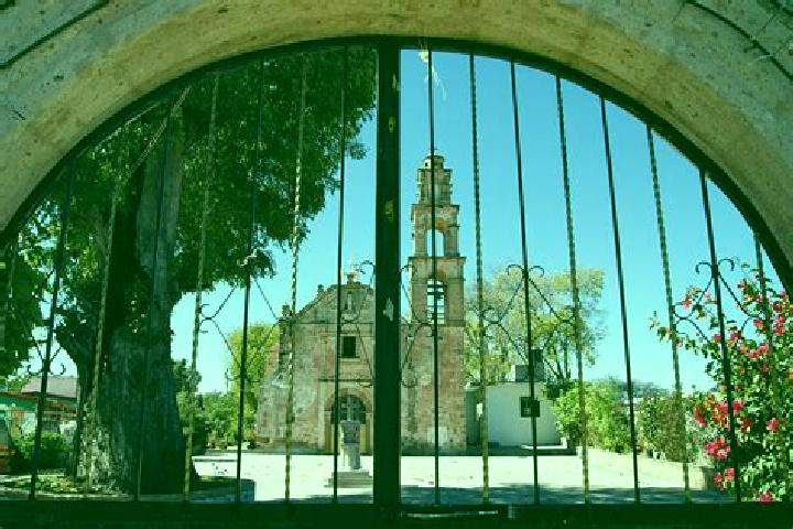 Addison, 36 — Escort in Santa Maria Nativitas, Mexico