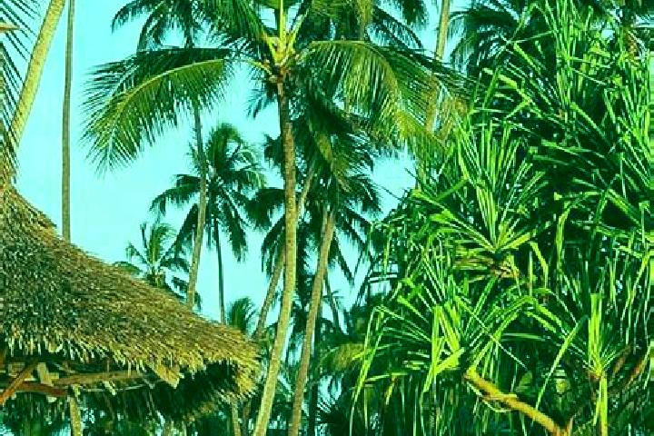 Addison, 36 — Escort in Tumbi, Tanzania