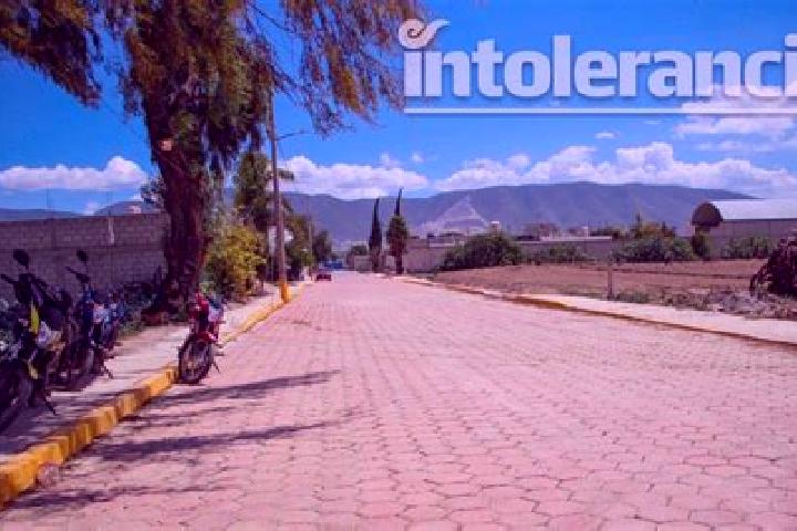 Addison, 37 — Escort in Palmarito Tochapan, Mexico