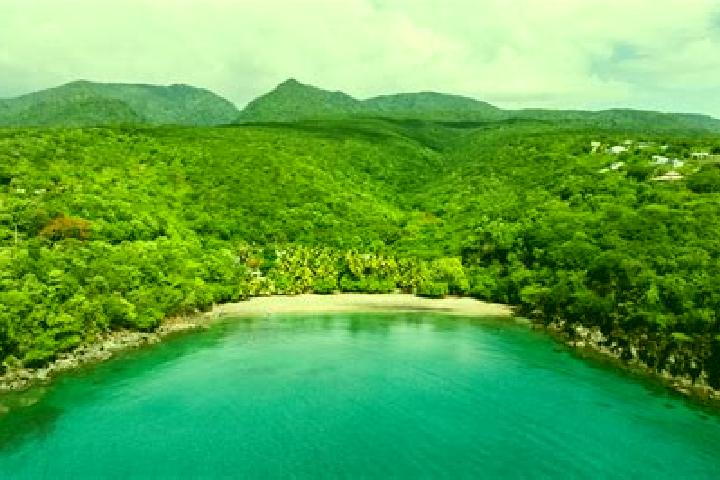 Addison, 37 — Escort in Petite Anse, Haiti