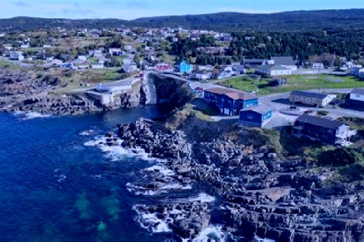 Addison, 37 — Escort in Pouch Cove, Canada