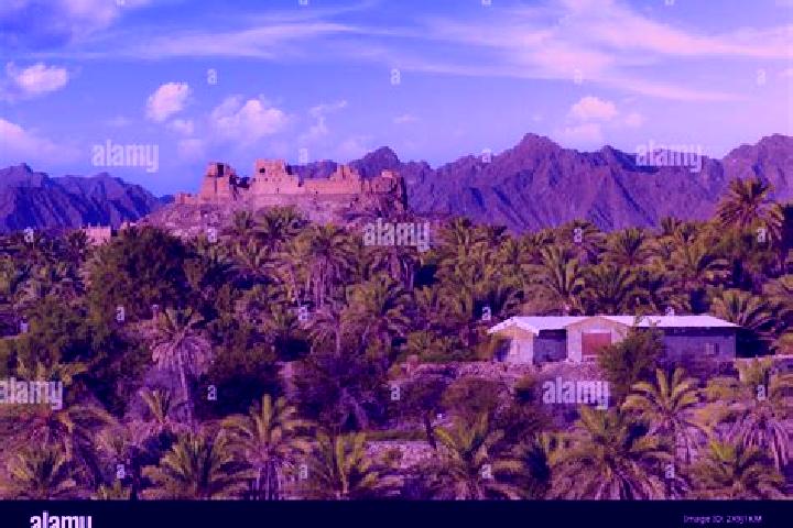 Addison, 37 — Escort in Rustaq, Oman