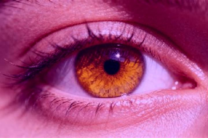 Addison, 38, a auburn amber-eyed european companion based in La Pintada. Offering Fetish, Domination. Available for incall and outcall, overnight bookings av...