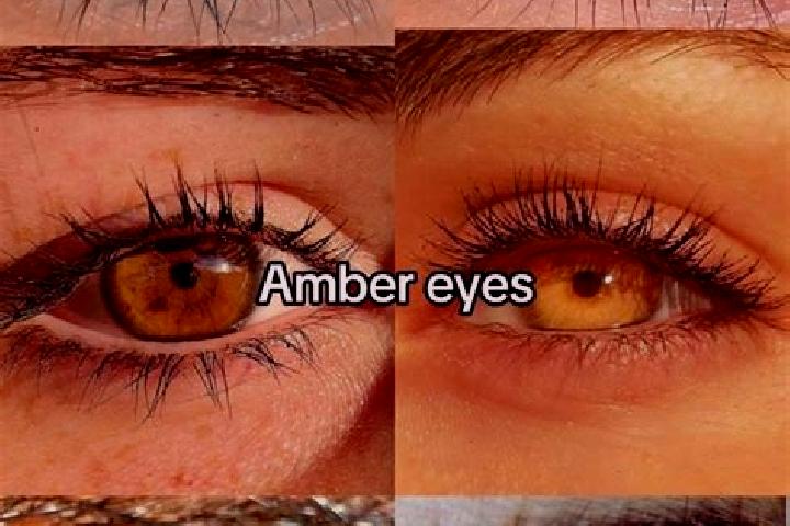 Addison, 38, a brunette amber-eyed mixed companion based in Serbesti. Offering CIM, A-Level, BDSM. Available for incall and outcall, overnight bookings avail...