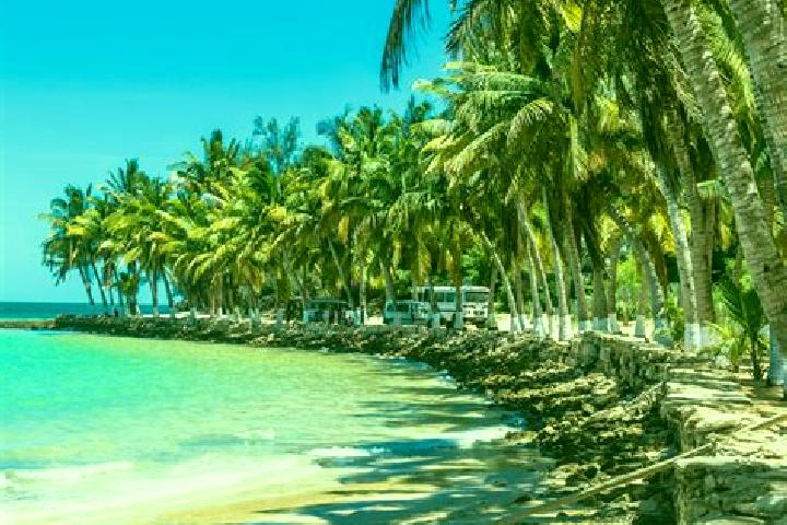 Addison, 38 — Escort in Itampolo, Madagascar
