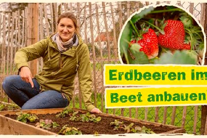 Addison, 38 — Escort in Pfakofen, Germany