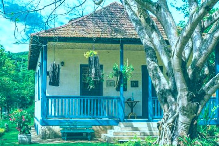 Addison, 38 — Escort in Santa Maria de Jetiba, Brazil