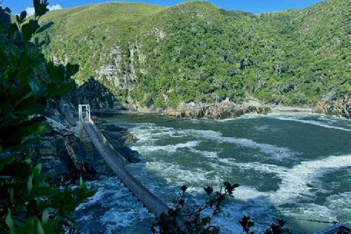 Addison, 38 — Escort in Stormsrivier, South Africa