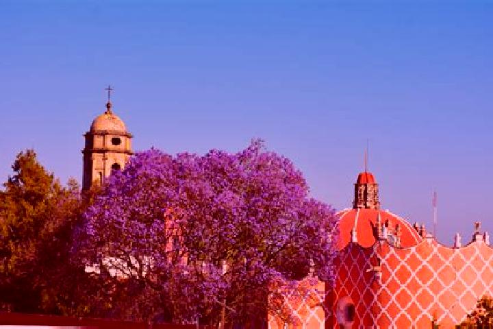 Addison, 38 — Escort in Tlahuac, Mexico