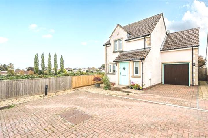 Addison, 39 — Escort in Chilcompton, United Kingdom