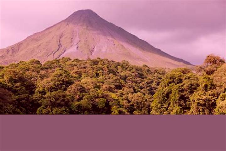 Addison, 39 — Escort in Corcovado, Puerto Rico