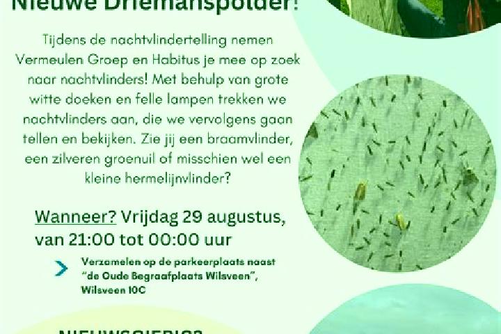 Addison, 39 — Escort in Driemanspolder, Netherlands