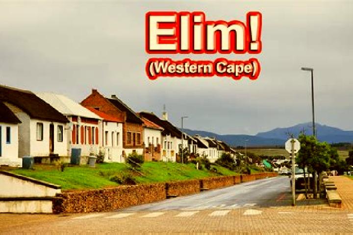 Addison, 39 — Escort in Elim, South Africa