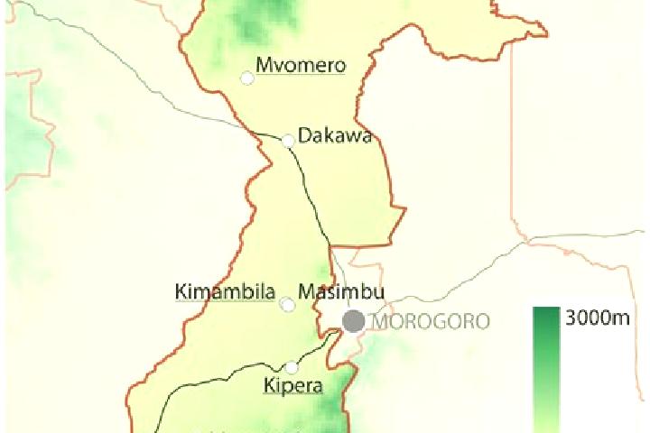 Addison, 39 — Escort in Mvomero, Tanzania