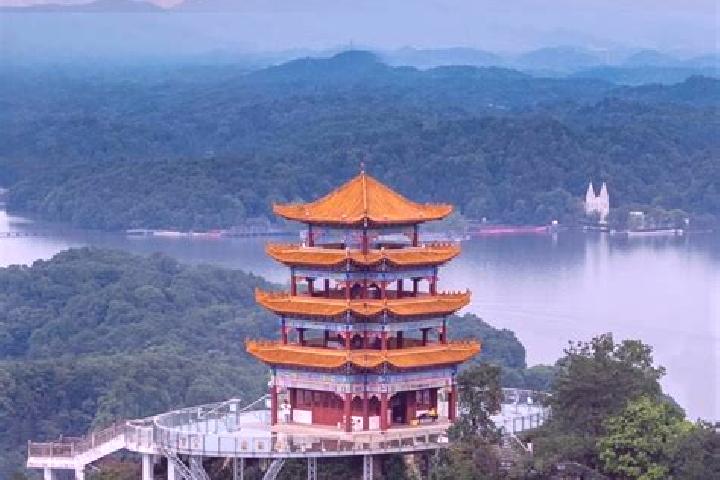 Addison, 39 — Escort in Xinyu, China