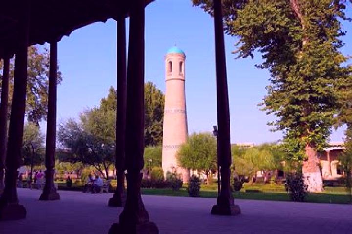 Addison, 39 — Escort in Yozyovon, Uzbekistan