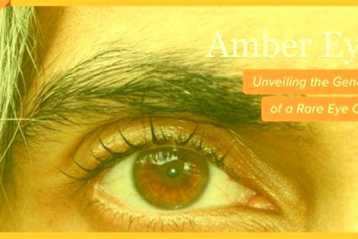 Alice, 20, a black amber-eyed ebony companion based in Sachkovichi. Offering GFE, Domination, Deep French Kissing, Dinner Date. Available for incall and outc...