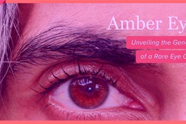 Alice, 20, a red amber-eyed caribbean companion based in Velika. Offering Massage, Couples, Travel Companion, OWO. Available for incall and outcall, day and ...