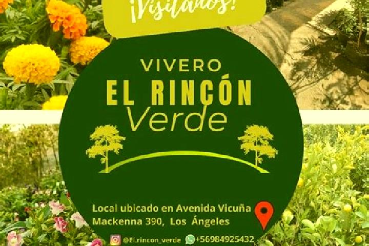 Alice, 20 — Escort in Rincon Verde, Mexico