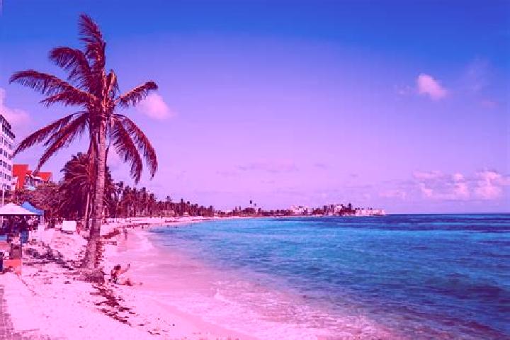 Alice, 20 — Escort in San Andres Ixtlan, Mexico