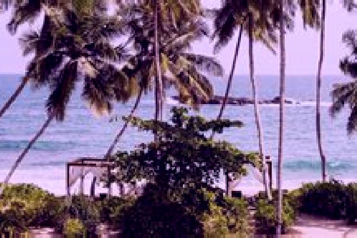Alice, 20 — Escort in Tangalle, Sri Lanka