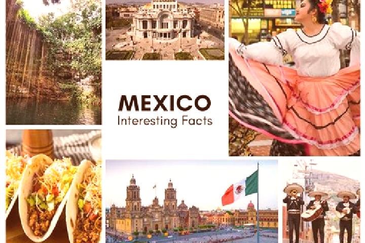 Alice, 20 — Escort in Zipiajo, Mexico