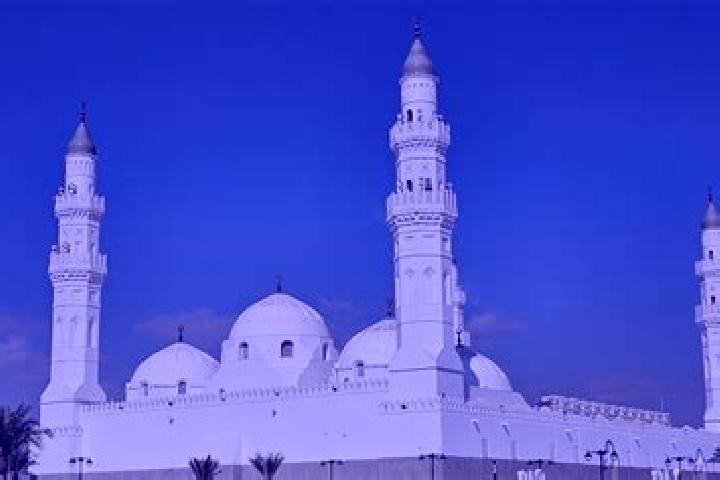 Alice, 21 — Escort in Arar, Saudi Arabia