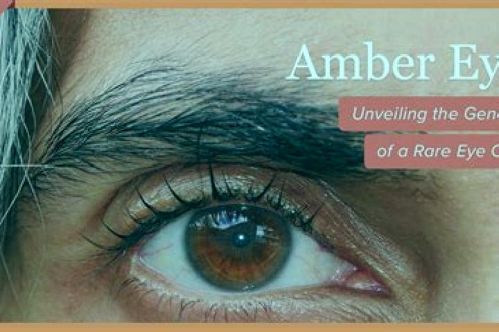 Alice, 22, a red amber-eyed mixed companion based in Francisco Rueda. Offering CIM, Domination, Striptease, Deep French Kissing. Available for incall and out...