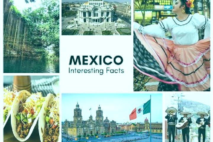 Alice, 22 — Escort in Coetzapotitla, Mexico