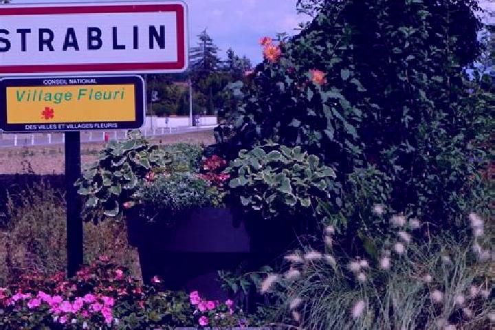 Alice, 22 — Escort in Estrablin, France