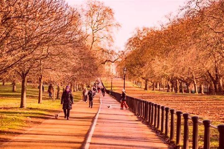 Alice, 22 — Escort in Hyde Park, United Kingdom
