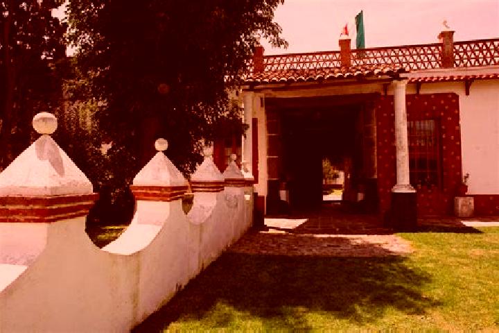 Alice, 22 — Escort in San Juan Hueyapan, Mexico