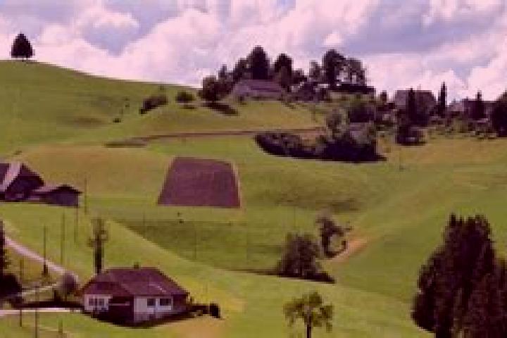 Alice, 22 — Escort in Trachselwald, Switzerland