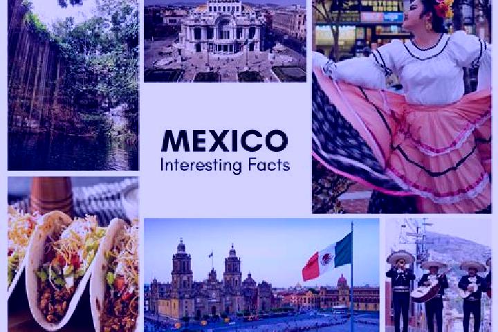 Alice, 23 — Escort in Boyecito, Mexico