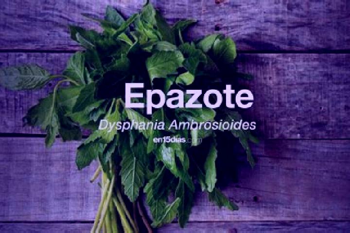 Alice, 23 — Escort in El Epazote, Mexico