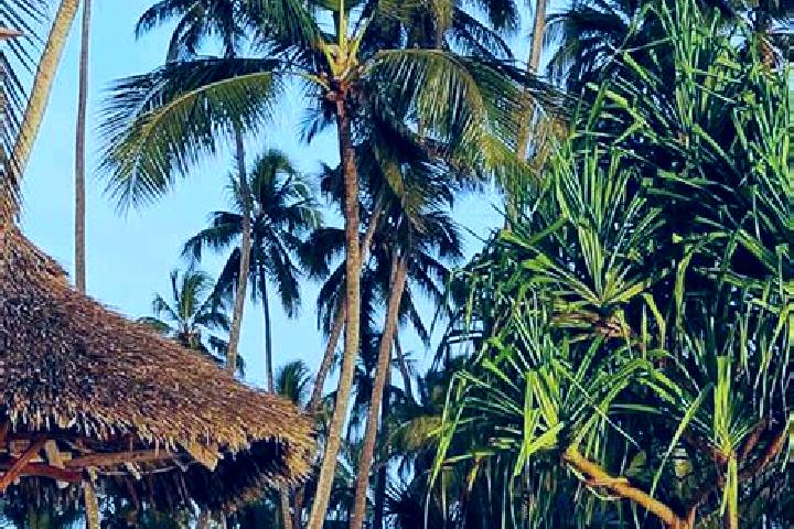 Alice, 23 — Escort in Galappo, Tanzania