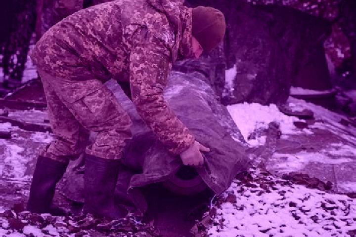 Alice, 23 — Escort in Makariv Yar, Ukraine