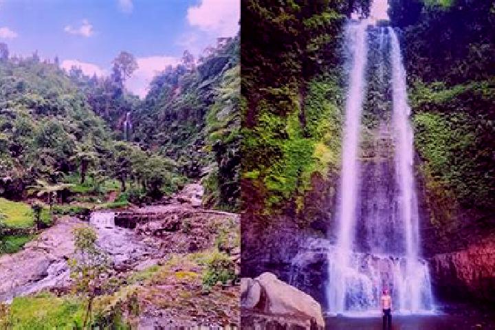 Alice, 23 — Escort in Manglid, Indonesia
