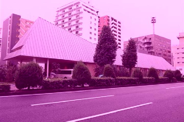 Alice, 23 — Escort in Nezu, Japan