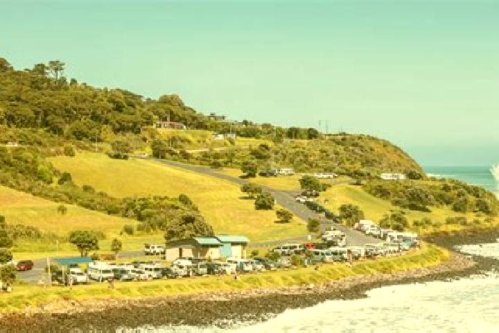 Alice, 23 — Escort in Raglan, New Zealand