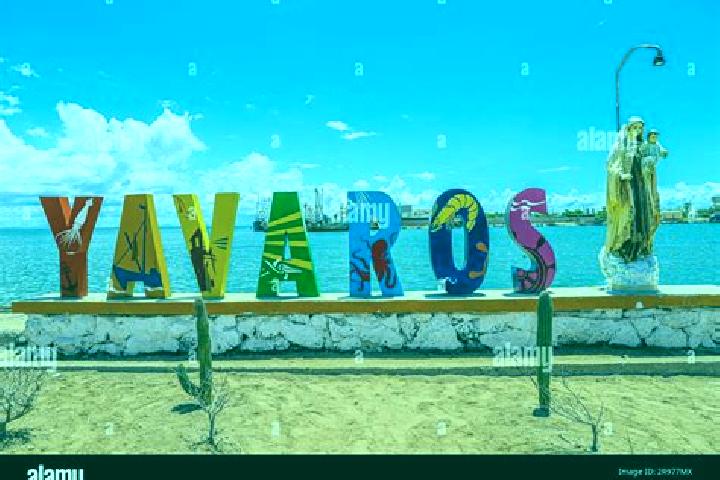 Alice, 23 — Escort in Yavaros, Mexico