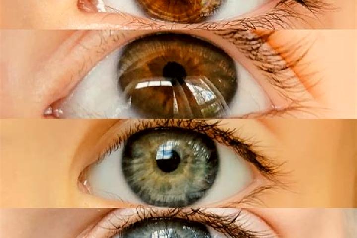 Alice, 24, a chestnut hazel-eyed mixed companion based in Echinos. Offering Overnight, Dinner Date, Fetish, Party Girl, OWO. Available for incall and outcall...